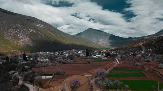 春季香格里拉尼西藏族村庄延时视频