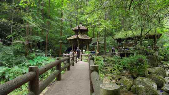 成都青城山后山峡谷森林步道溪流自然景观