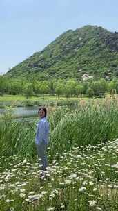 济南华山风景区，河边的小雏菊绽放