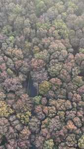 竖版航拍江苏南京中山陵5A景区航拍