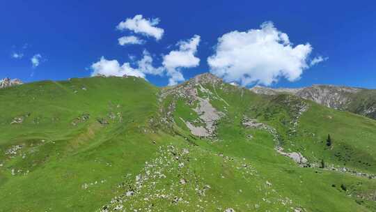 新疆昭苏夏塔雪山