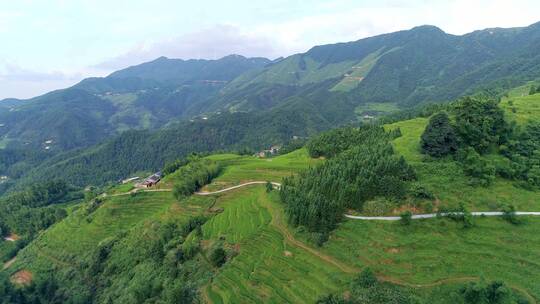 航拍遂川梯田风光