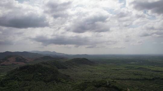 山峦树林后飞