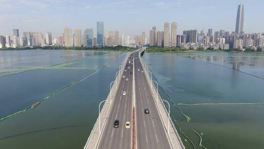 航拍湖北武汉沙湖大桥视频素材模板下载