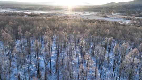 航拍雪原阳光树林雾凇