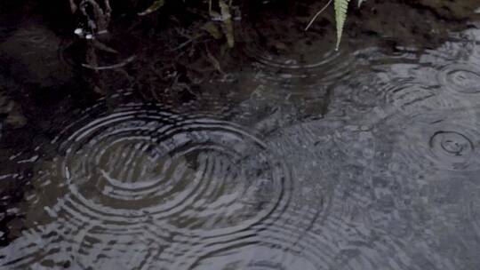 慢动作拍摄雨滴入湖面