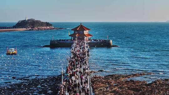 青岛海鸥青岛老城区栈桥