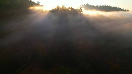 日出山间晨雾与阳光