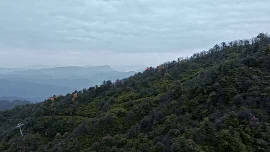 高清实拍眉山洪雅瓦屋山森林