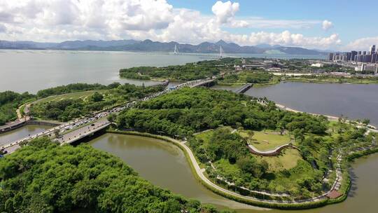 深圳湾大桥 后海海边