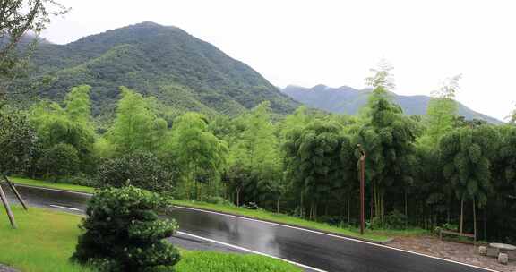 雨天高山森林 宁静的庄园车行道