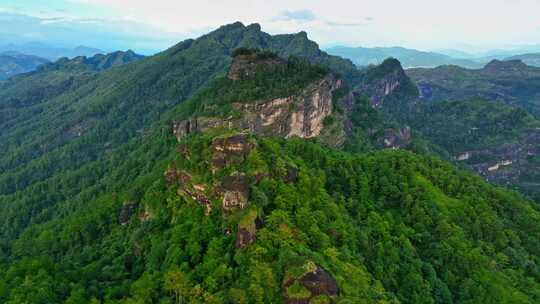 福建武夷山国家公园岩茶核心产区0571