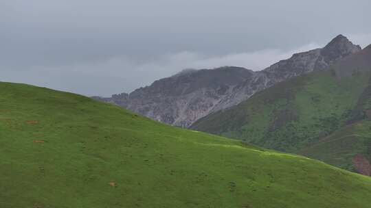 西藏高山云海