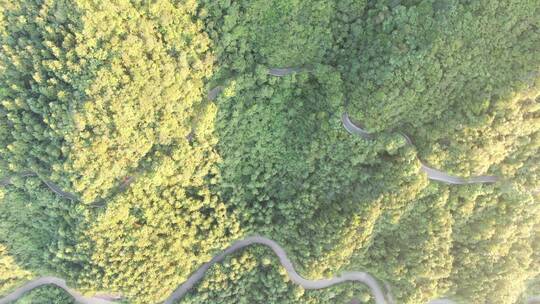 俯拍森林蜿蜒盘山公路