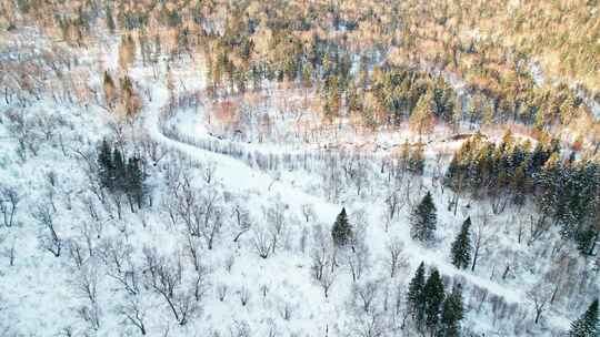 中国黑龙江大兴安岭雪原森林雪景航拍