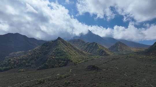 蓝天白云下扎哈公路边的大山彩林