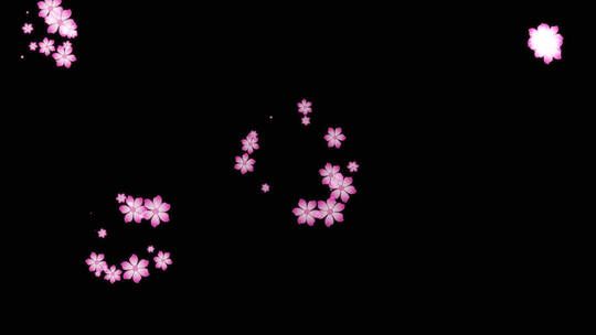 花朵背景小装饰视频