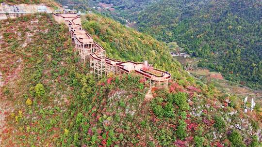 三峡红叶