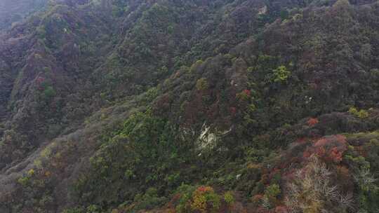 航拍秦岭山脉秋季风景云海