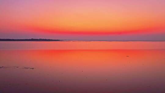 夕阳下浅滩上的鸟类群像