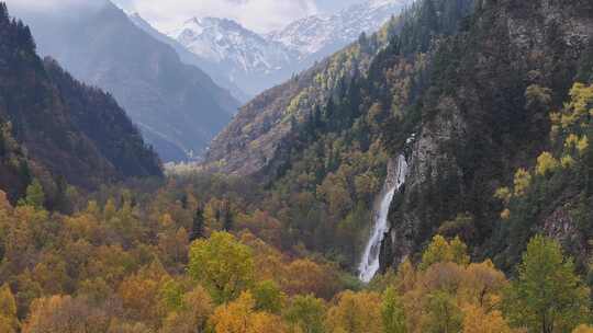 青海互助北山秋林航拍视频