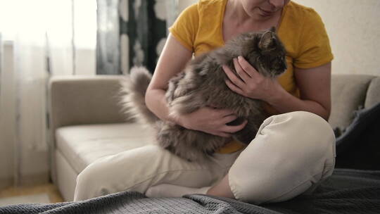 女人坐在沙发上抱着宠物猫