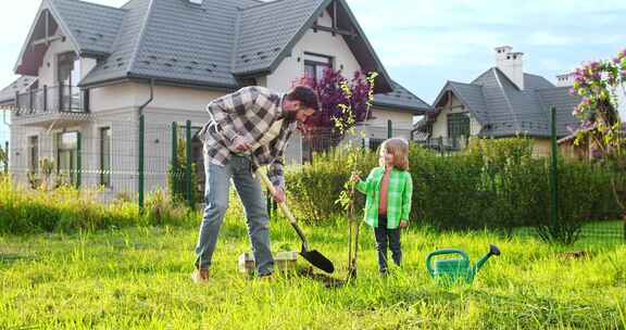 白人父亲种树和挖掘在地面和小可爱的儿子帮