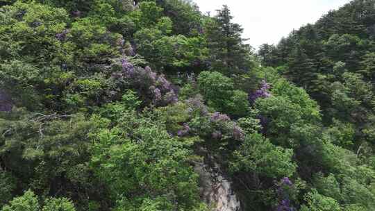 河南伏牛山山脉平顶山尧山层峦叠嶂的山峰