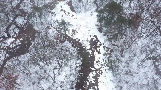 安吉 安吉雪景 安吉秋天 冬季 雪景