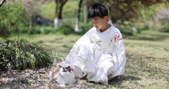 穿汉服男孩和宠物猫 布偶猫 踏春赏花