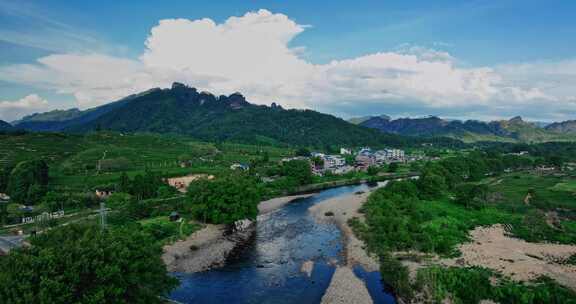 福建武夷山国家公园岩茶核心产区0407