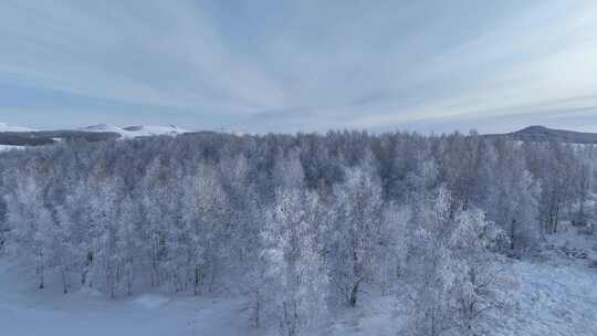 航拍雪域雪原桦林雾凇视频素材模板下载
