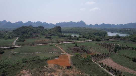 广西大面积甘蔗种植基地航拍