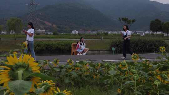 浙江瑞安曹村镇风光