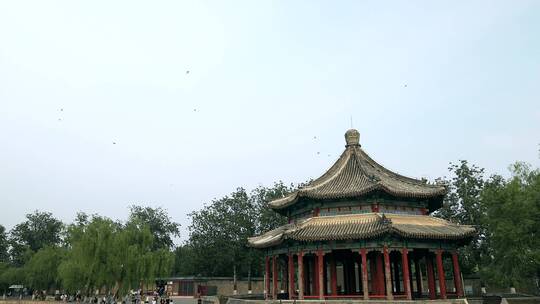 北京颐和园景区低飞的燕子