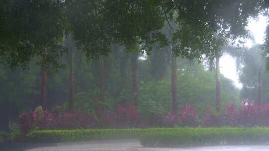 暴雨下雨