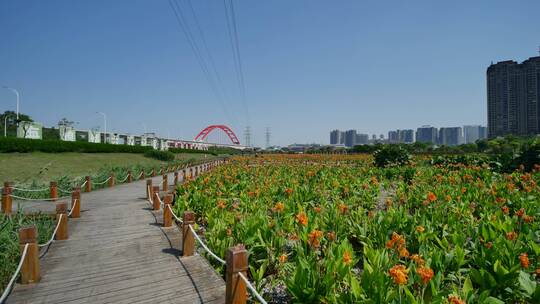 广西南宁那考河湿地公园