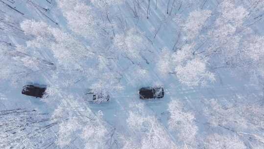 4K呼伦贝尔雪原雾凇车队行驶航拍9