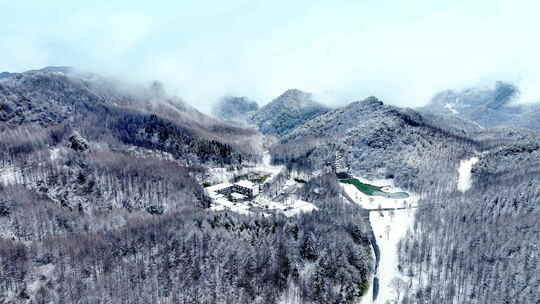 4k大气雪山汽车行使 森林雪松 雪山云海