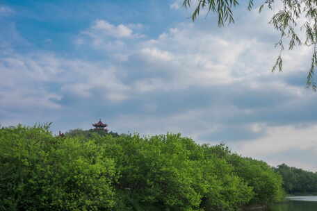 城市公园湖泊湿地公园植物园高山远亭延时