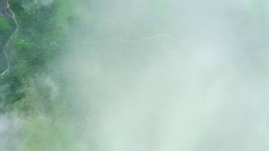 云雾中的草原森林视频素材模板下载