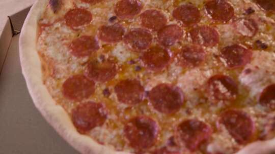 一张披萨视频素材模板下载