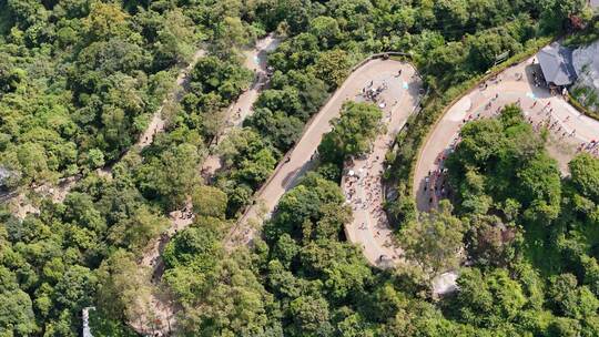 广东观音山国家森林公园第十二届登山大赛