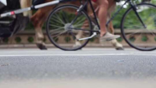 自行车比赛、骑行、骑自行车视频素材模板下载
