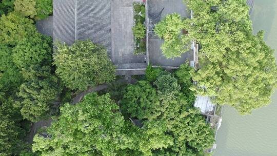 航拍城市生态环境上海醉白池风景区