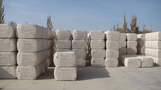 新疆棉花脱籽加工打包