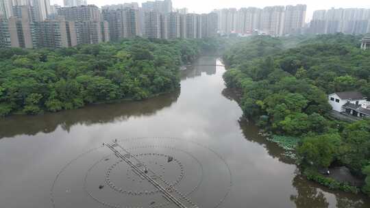 航拍衡阳平湖公园美景