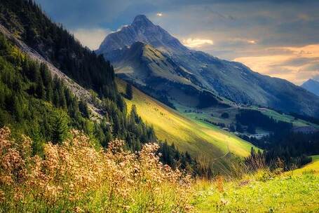 远方的回响 悠然 商队 藏族 扎念琴