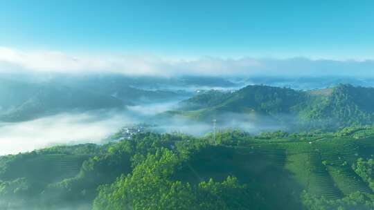 航拍云雾中的茶山