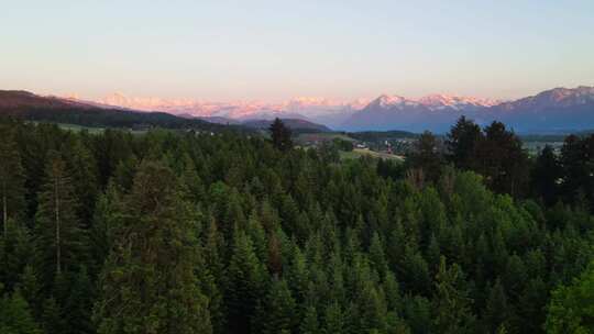 乡村，森林，阿尔卑斯山，雪山